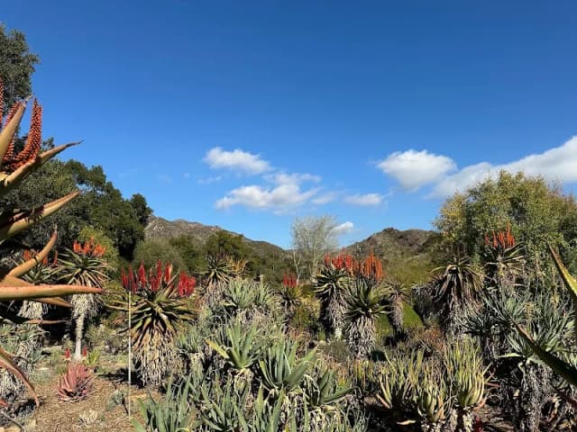 Taft Gardens & Nature Preserve - Appointment Only