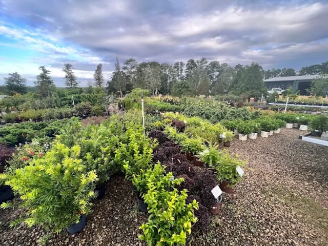 Big Oak Nursery