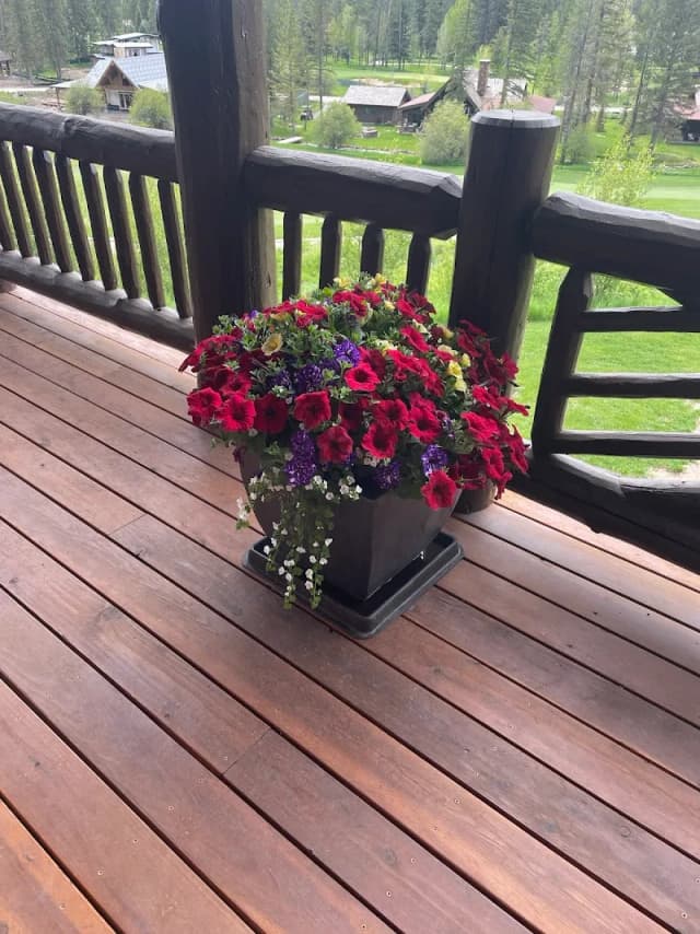 Porcupine Greenhouse & Nursery