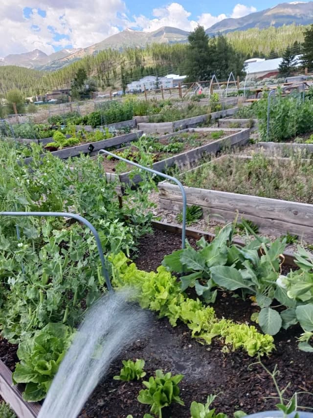 Breckenridge Community Gardens