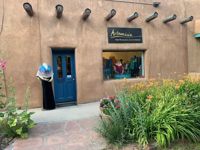 Artemisia Taos