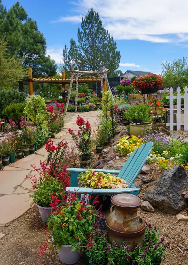 Viola's Flower Garden