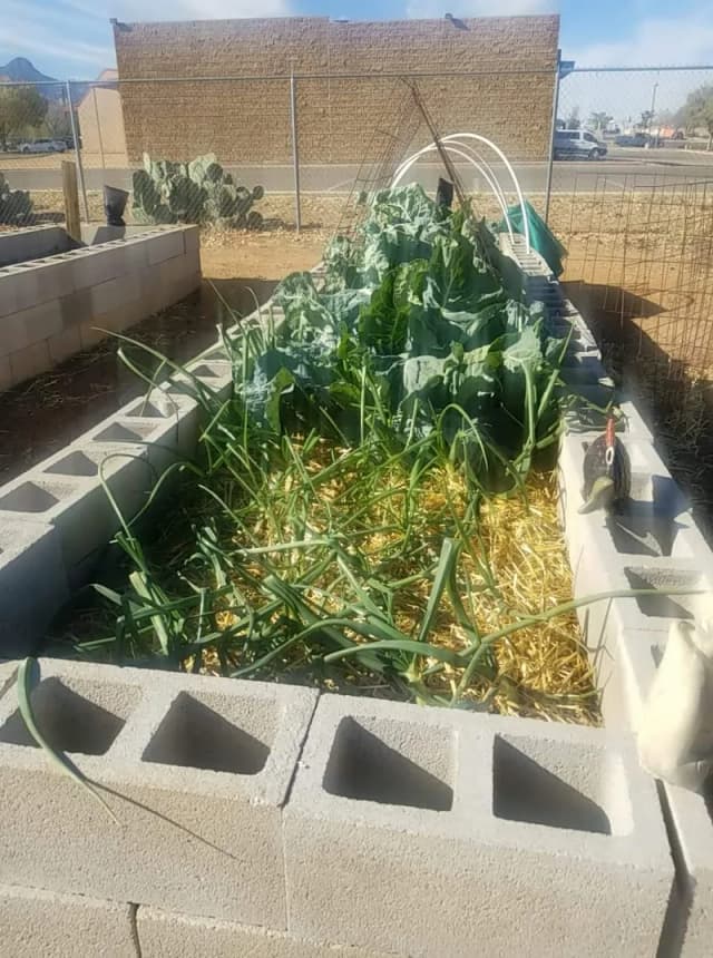 Sierra Vista Community Gardens