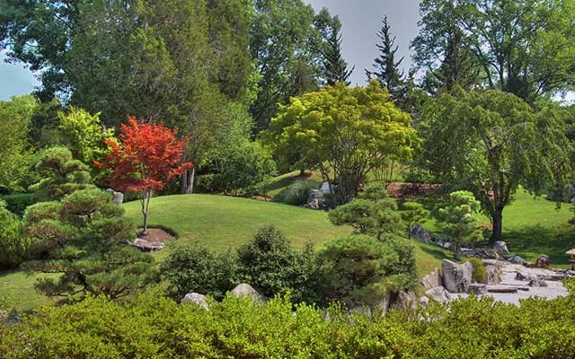 Blevins Japanese Garden