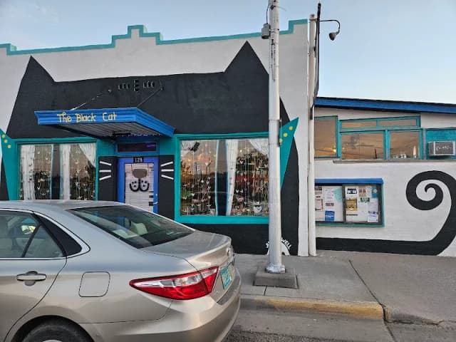 Black Cat Books and Coffee