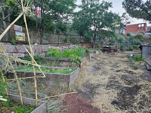 Jerome Community Garden