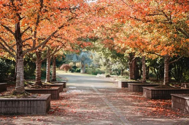 The Oregon Garden