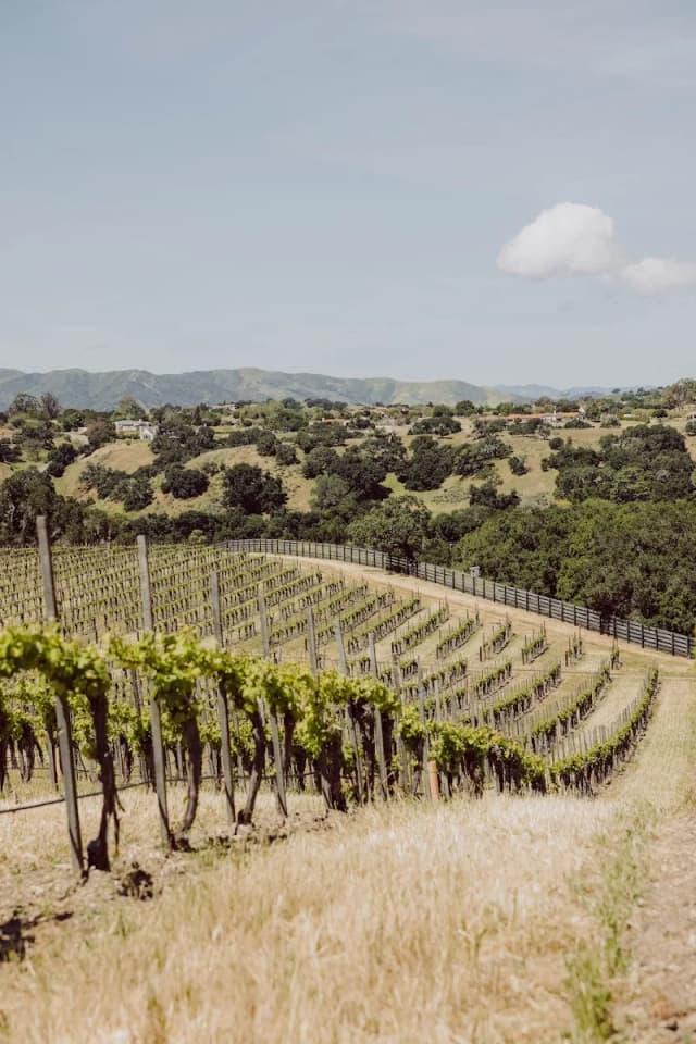 Buttonwood Farm & Vineyard