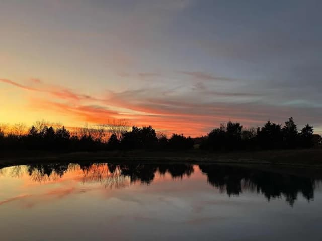 Shamrock Hills Vineyard and Winery