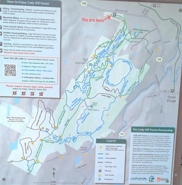 Cady Hill Forest