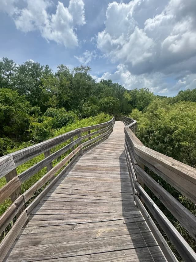 Scipio Creek Boardwalk