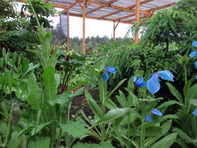 Far Reaches Farm