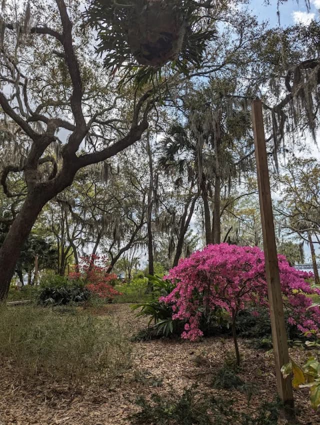 Gardens at Trout River Plaza