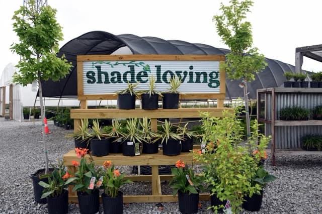 Good Earth Greenhouse, LLC