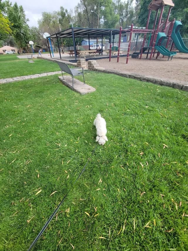 Virginia St Park