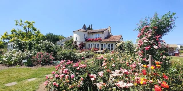 Russian River Rose Co