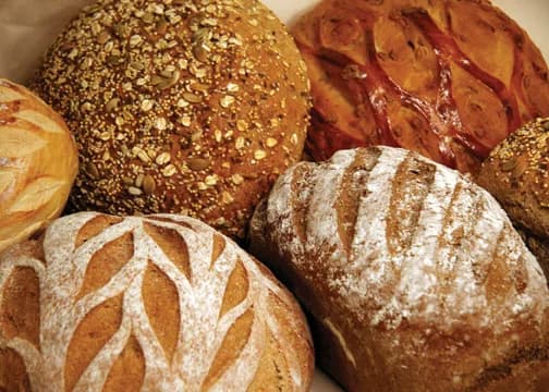 Great Harvest Bread Co. Stillwater