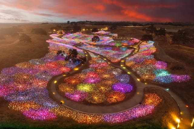 Field of Light
