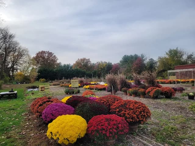Cedar Hill Farm