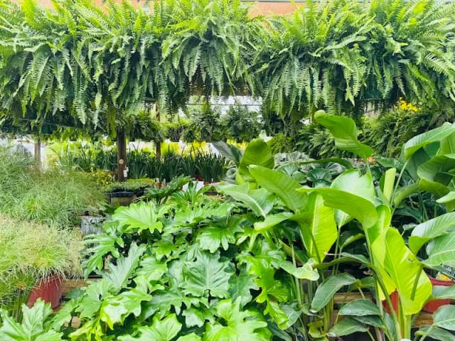 The Garden Hub