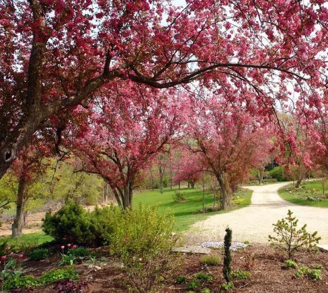Botanica Fine Gardens and Landscapes