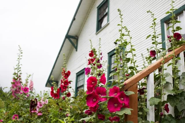 Compass Rose Farms