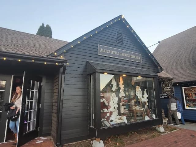 Alice’s Little Haunted Bookshop