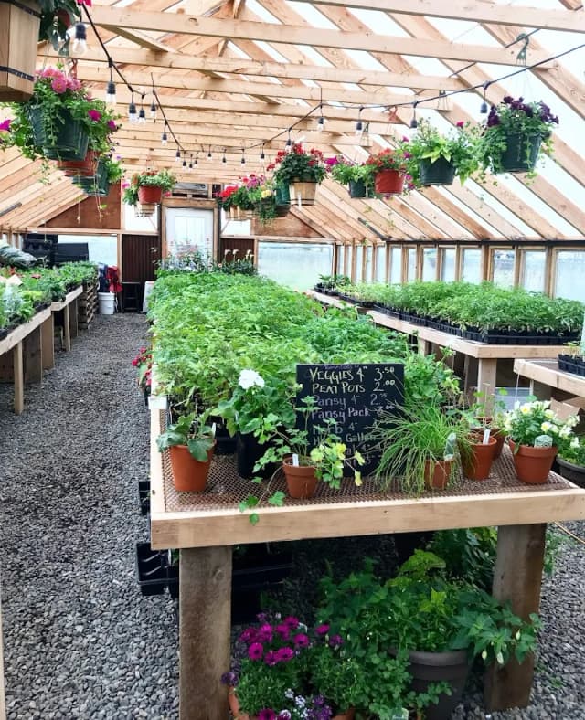 Woods Rose Market