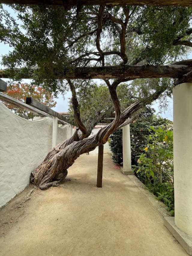 Memory Garden