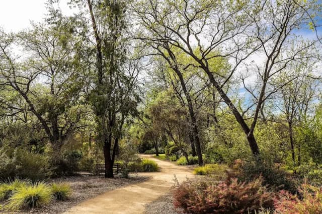 Mc Connell Arboretum & Botanical Gardens