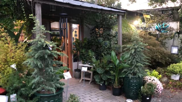 JVI Secret Gardens