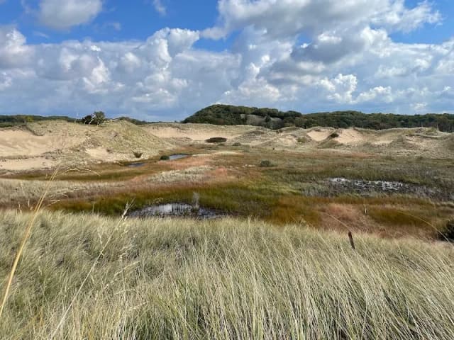 Saugatuck Harbor Natural Area