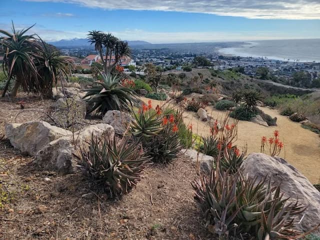 Ventura Botanical Gardens