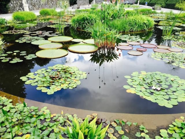 Biltmore Italian Garden