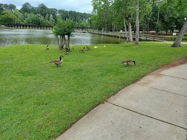 Cherokee Lake Park