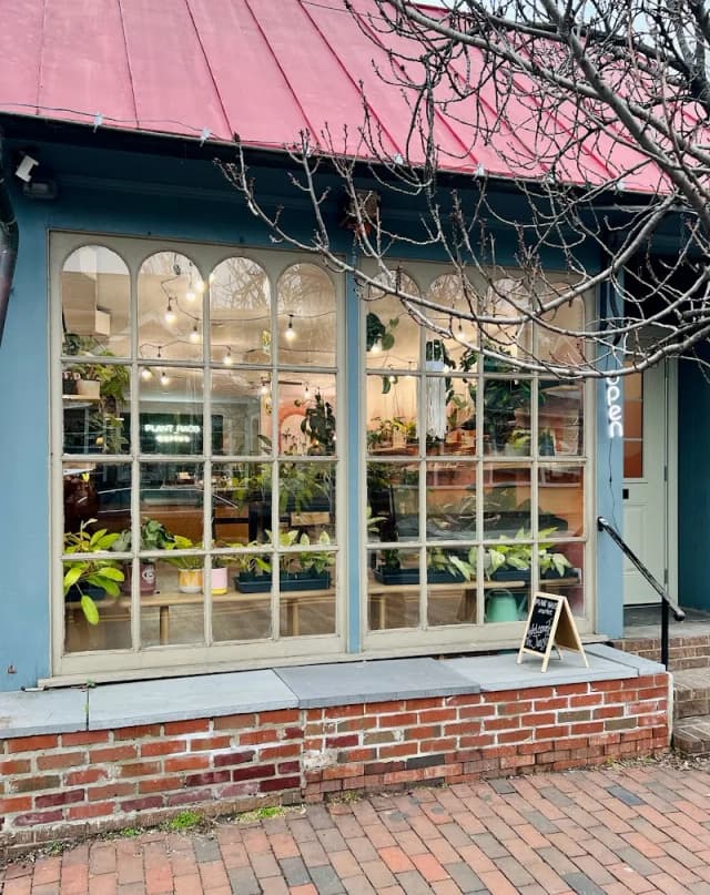 Plant Haus Market