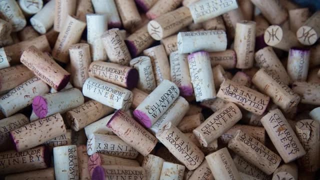 Cellardoor Winery