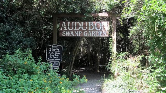 Audubon Swamp Garden
