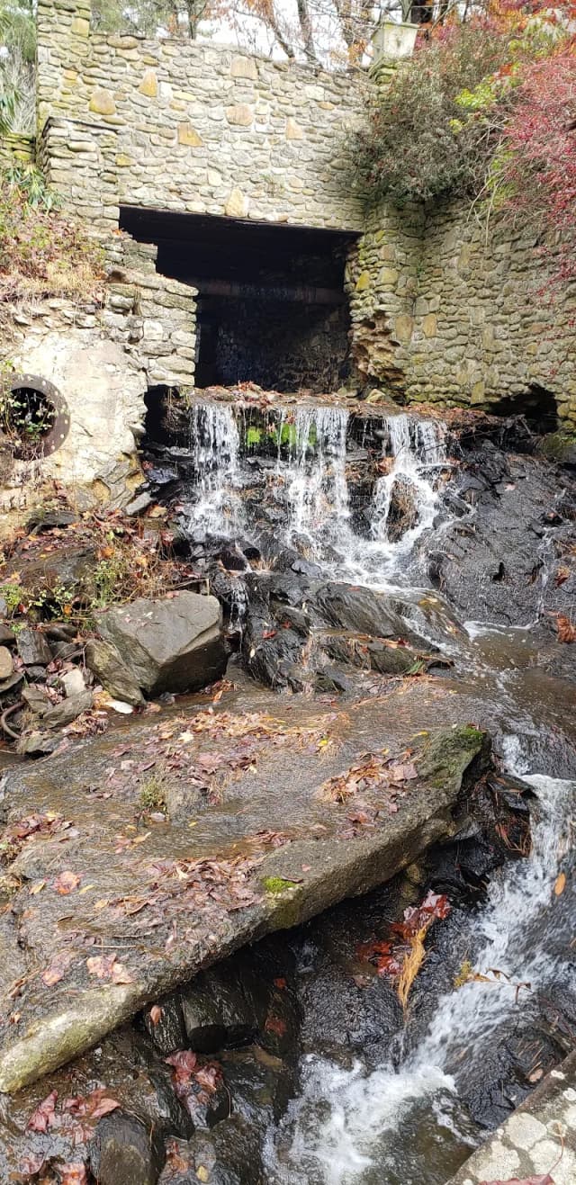Annie Cannon Gardens