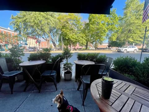 Cute spots in Hudson NY