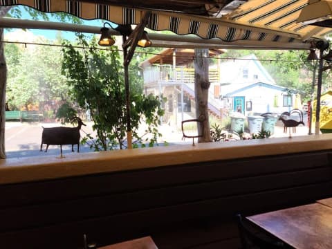 Cute spots in Springdale UT