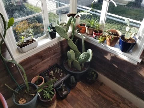 Cute spots in Grass Valley CA